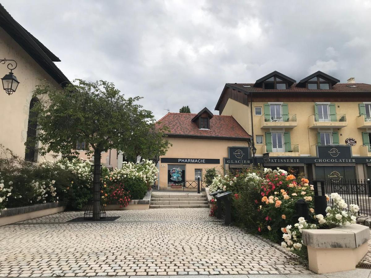Castle View Menthon别墅 外观 照片